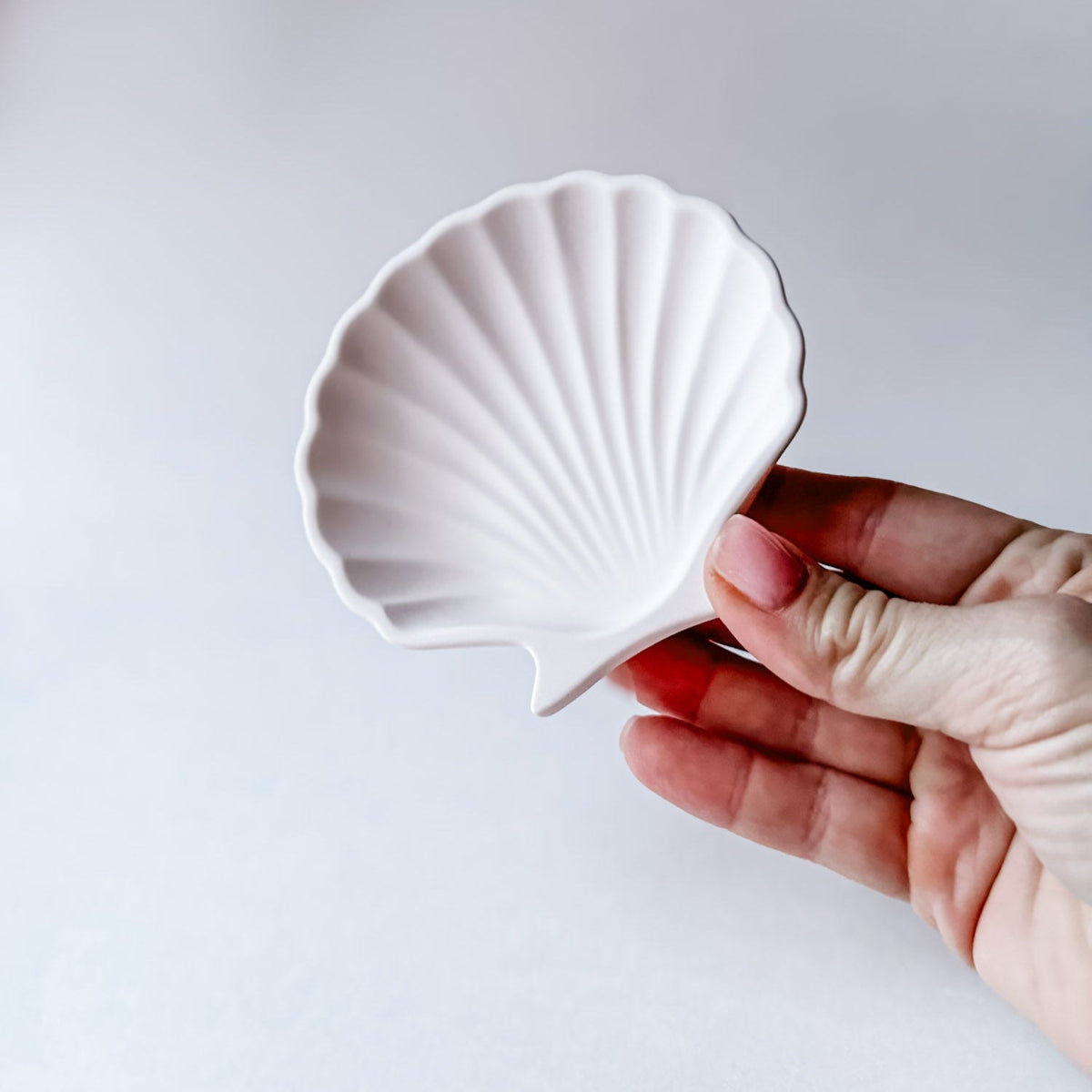 Shell Trinket