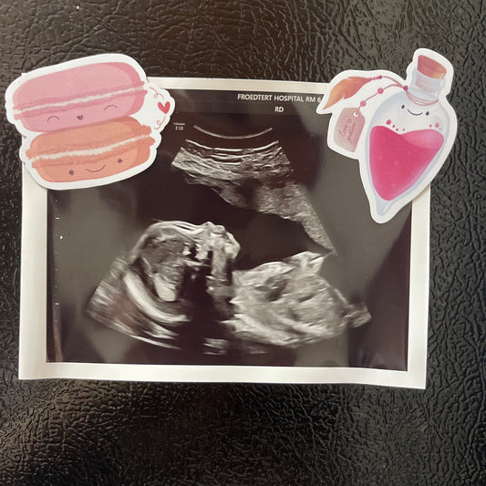 Macarons in Love Magnet