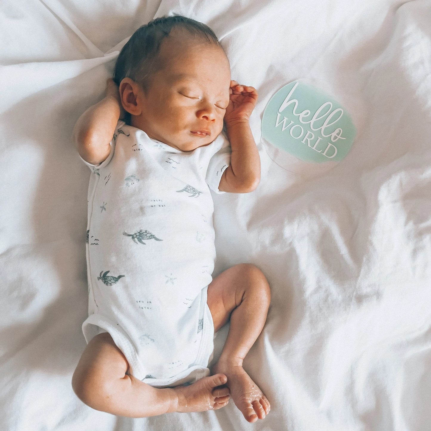 Hello World!  Baby Monthly Milestones