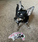 Holographic Dog Prague Ratter / Miniature Pinscher Sticker